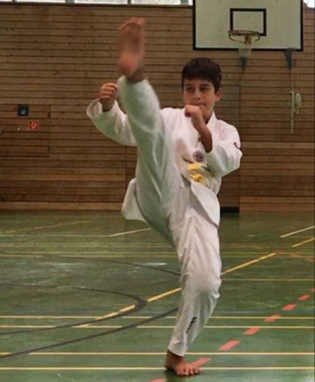 elite taekwondo