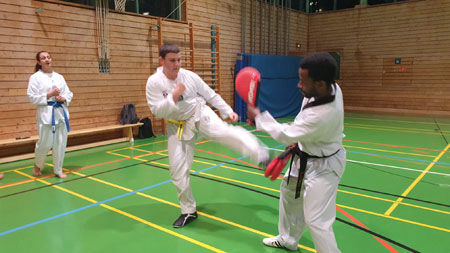 Mobirise Website Builder