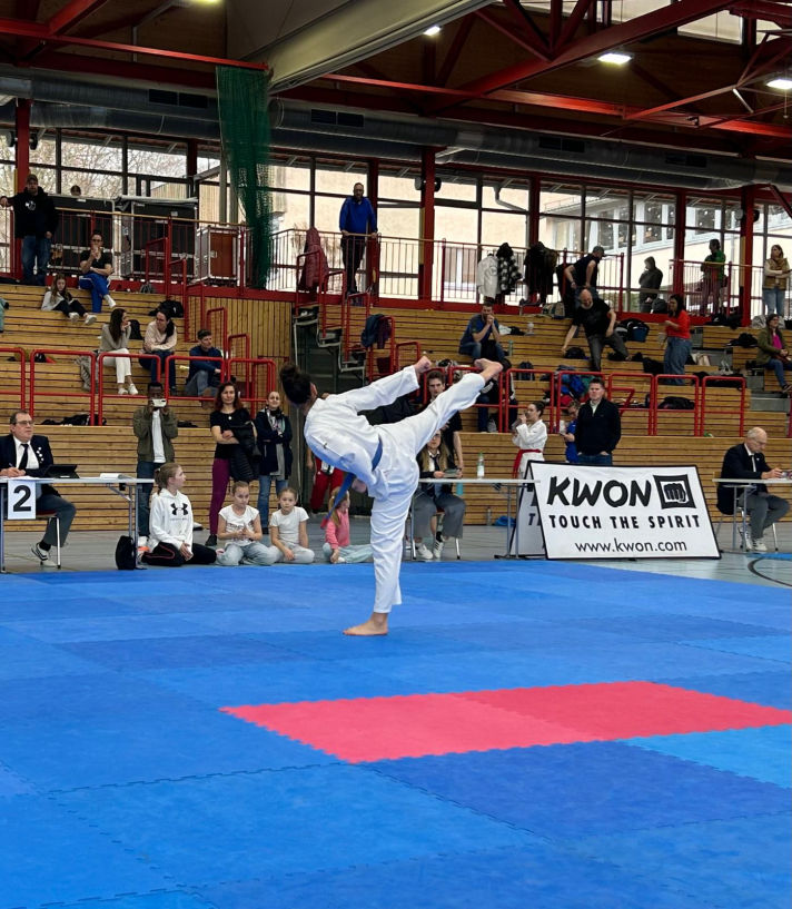 elite taekwondo