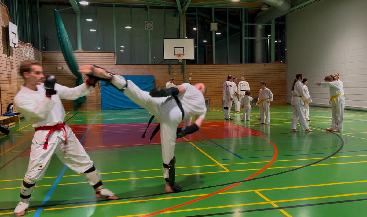 elite taekwondo