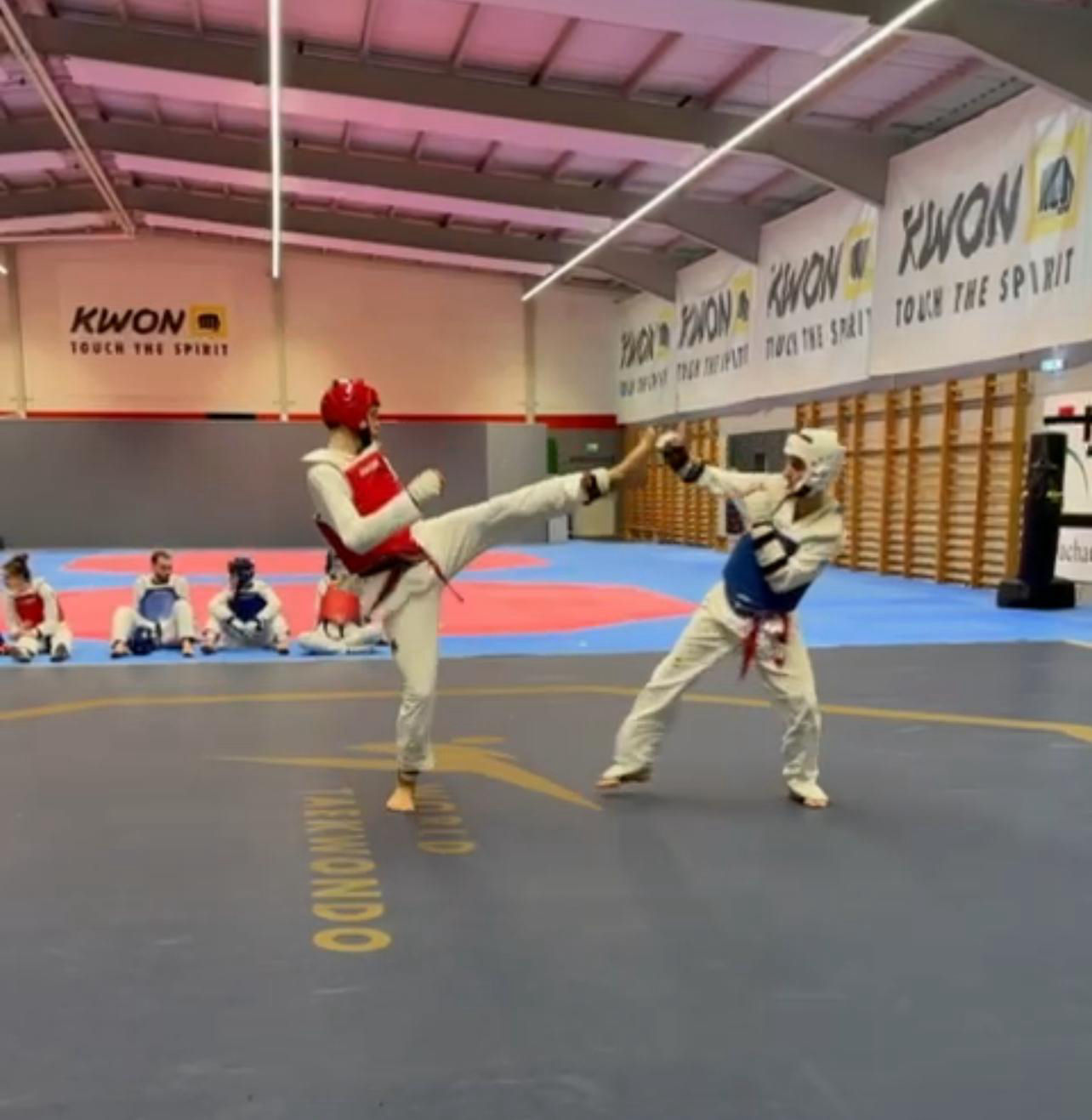 elite taekwondo