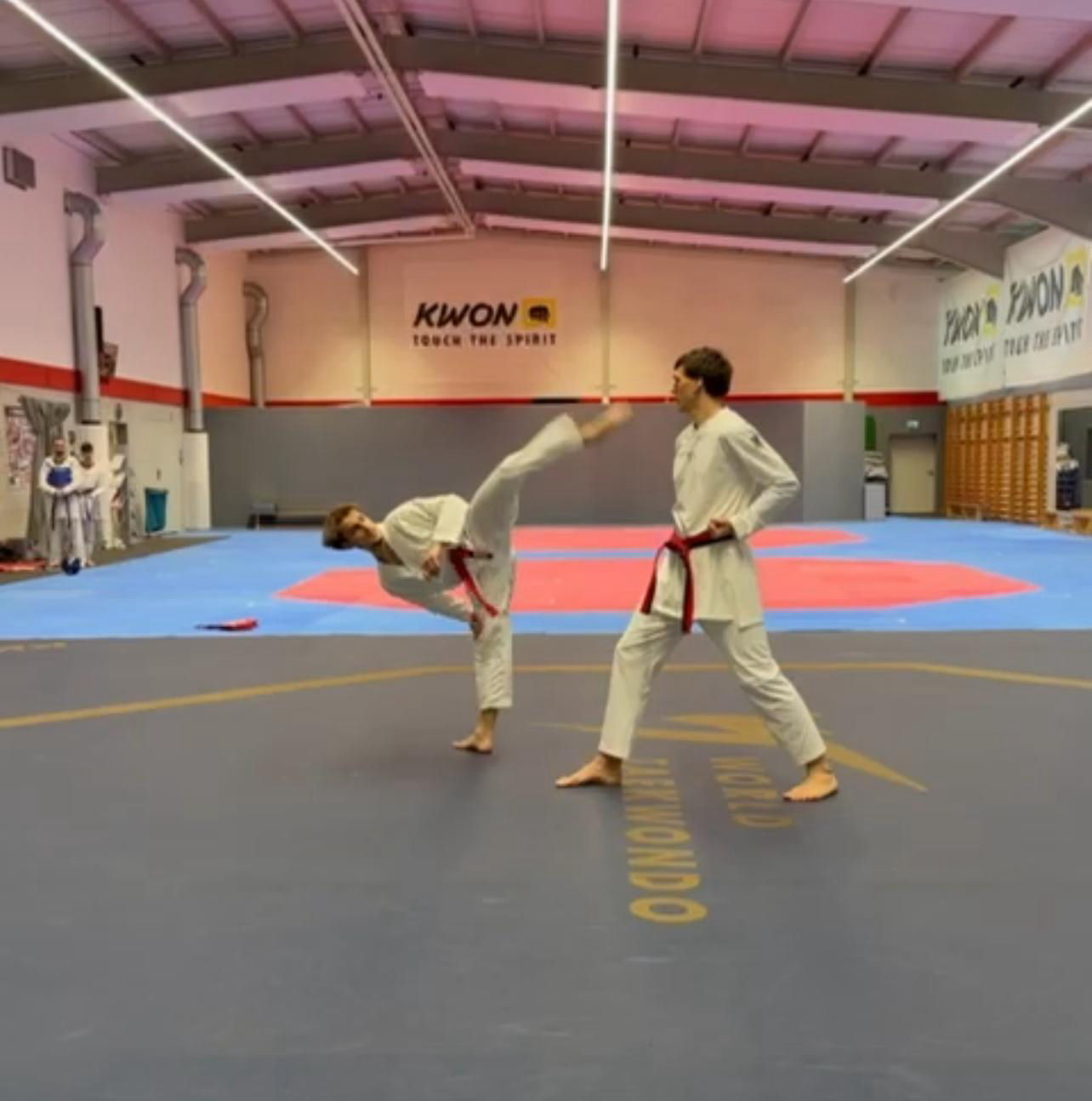 elite taekwondo