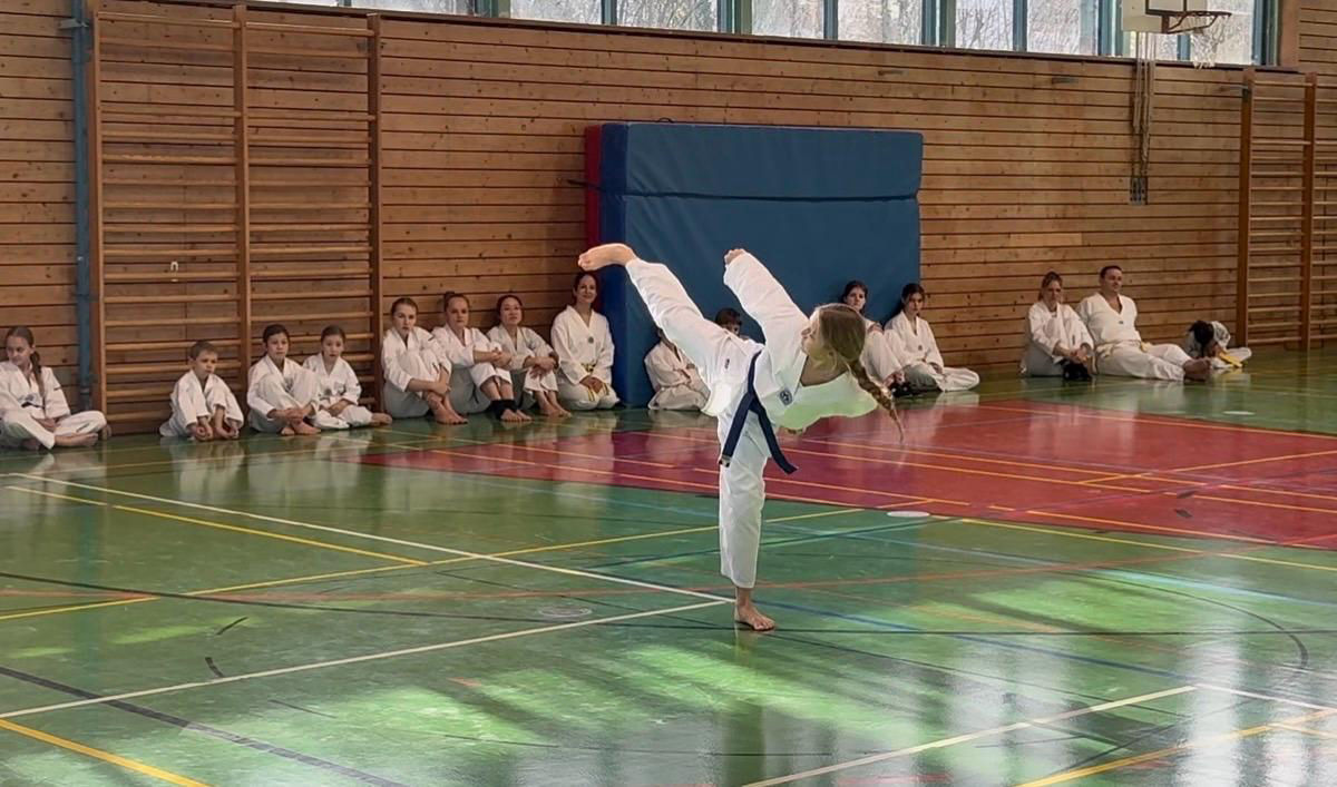 elite taekwondo