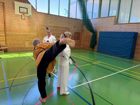 elite taekwondo