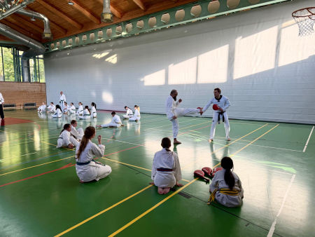 elite taekwondo