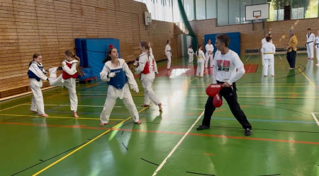 elite taekwondo