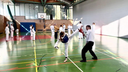elite taekwondo