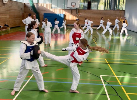 elite taekwondo