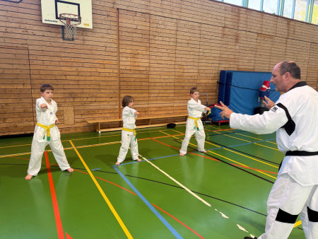 elite taekwondo