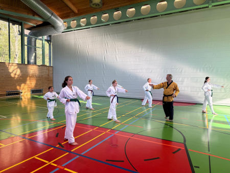 elite taekwondo