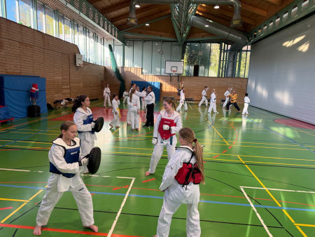 elite taekwondo
