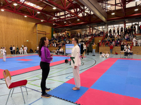 elite taekwondo