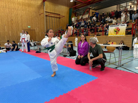 elite taekwondo