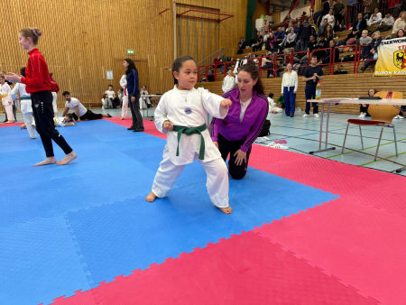 elite taekwondo