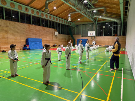 elite taekwondo