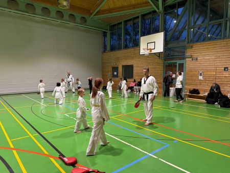 elite taekwondo