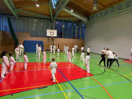 elite taekwondo