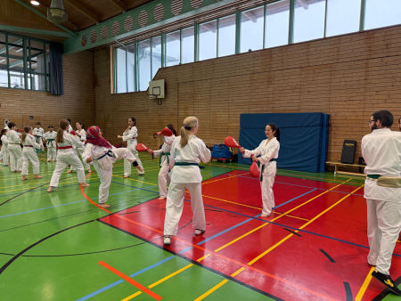 elite taekwondo