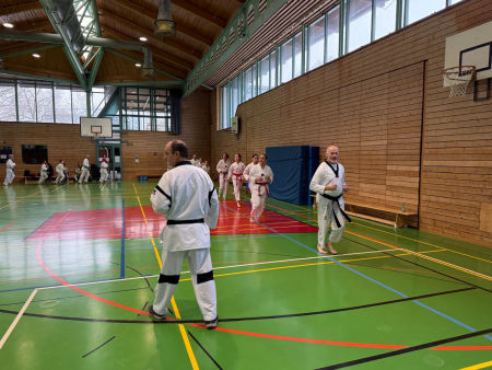 elite taekwondo