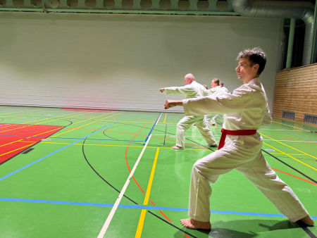 elite taekwondo