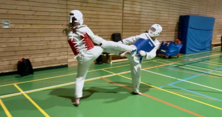 elite taekwondo