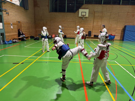 elite taekwondo