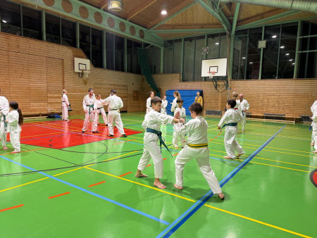 elite taekwondo