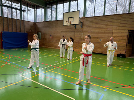 elite taekwondo