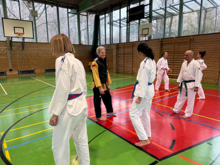 elite taekwondo