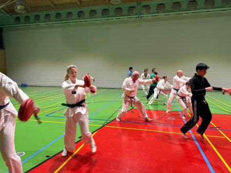 elite taekwondo