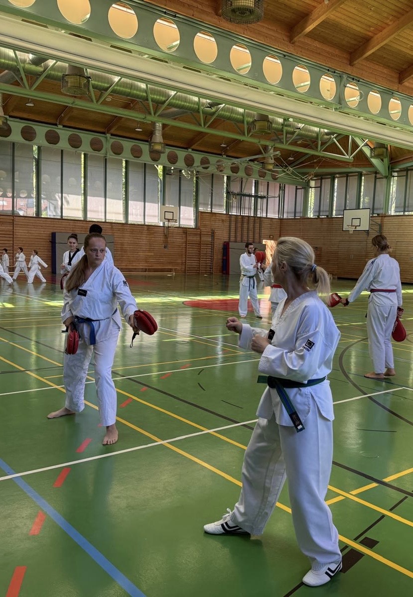 Erwachsene beim gemeinsamen Taekwondo-Training