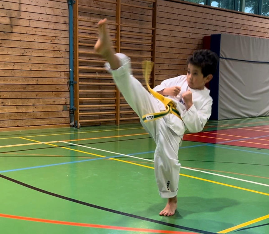 Elite Taekwondo im Wettkampf