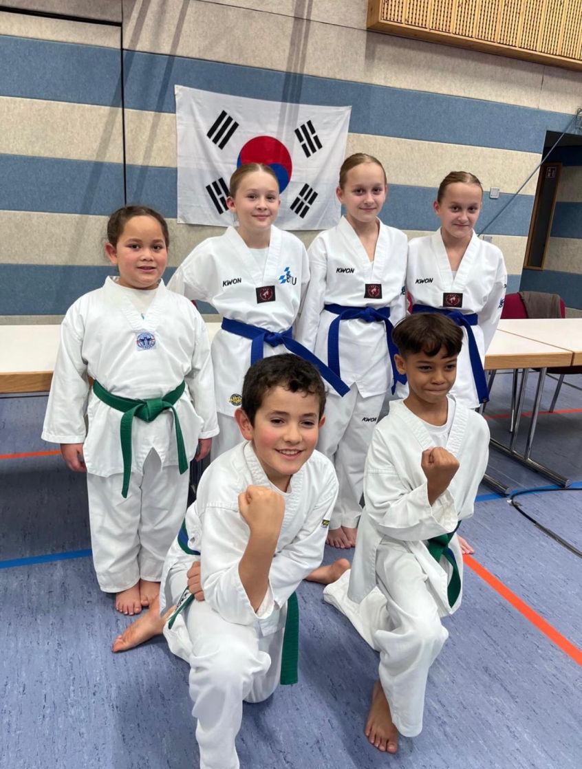 Elite taekwondo