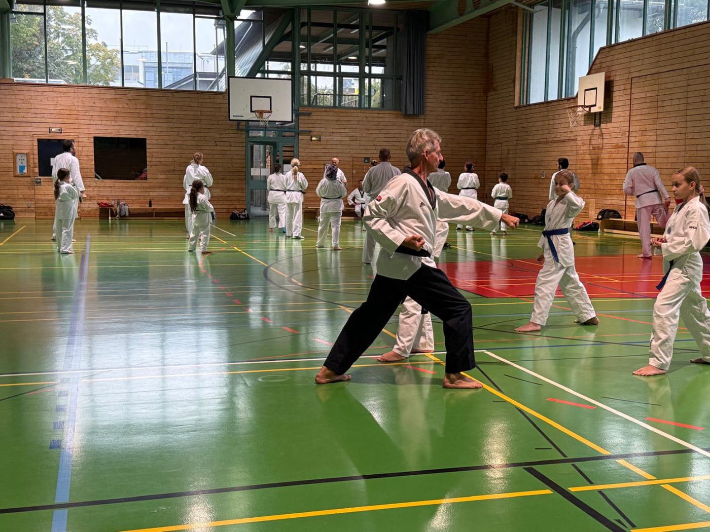 Elite taekwondo