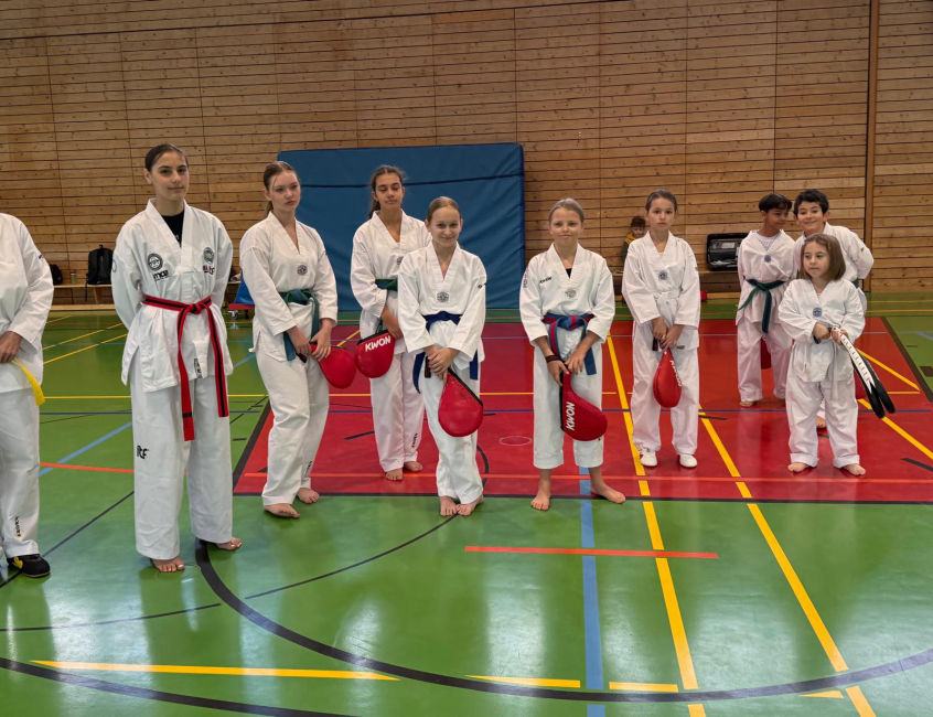 elite taekwondo