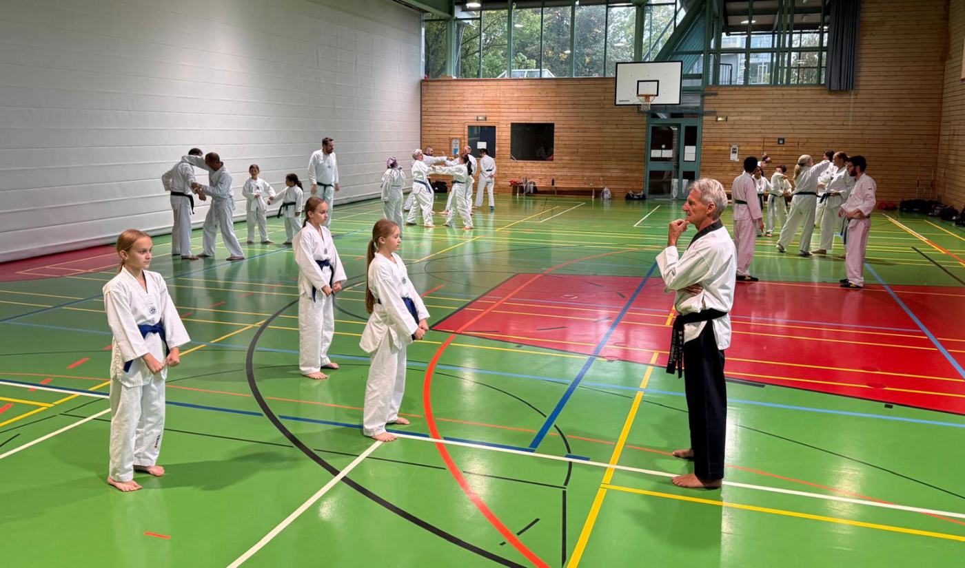 elite taekwondo