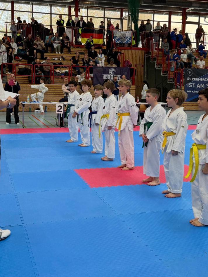 elite taekwondo
