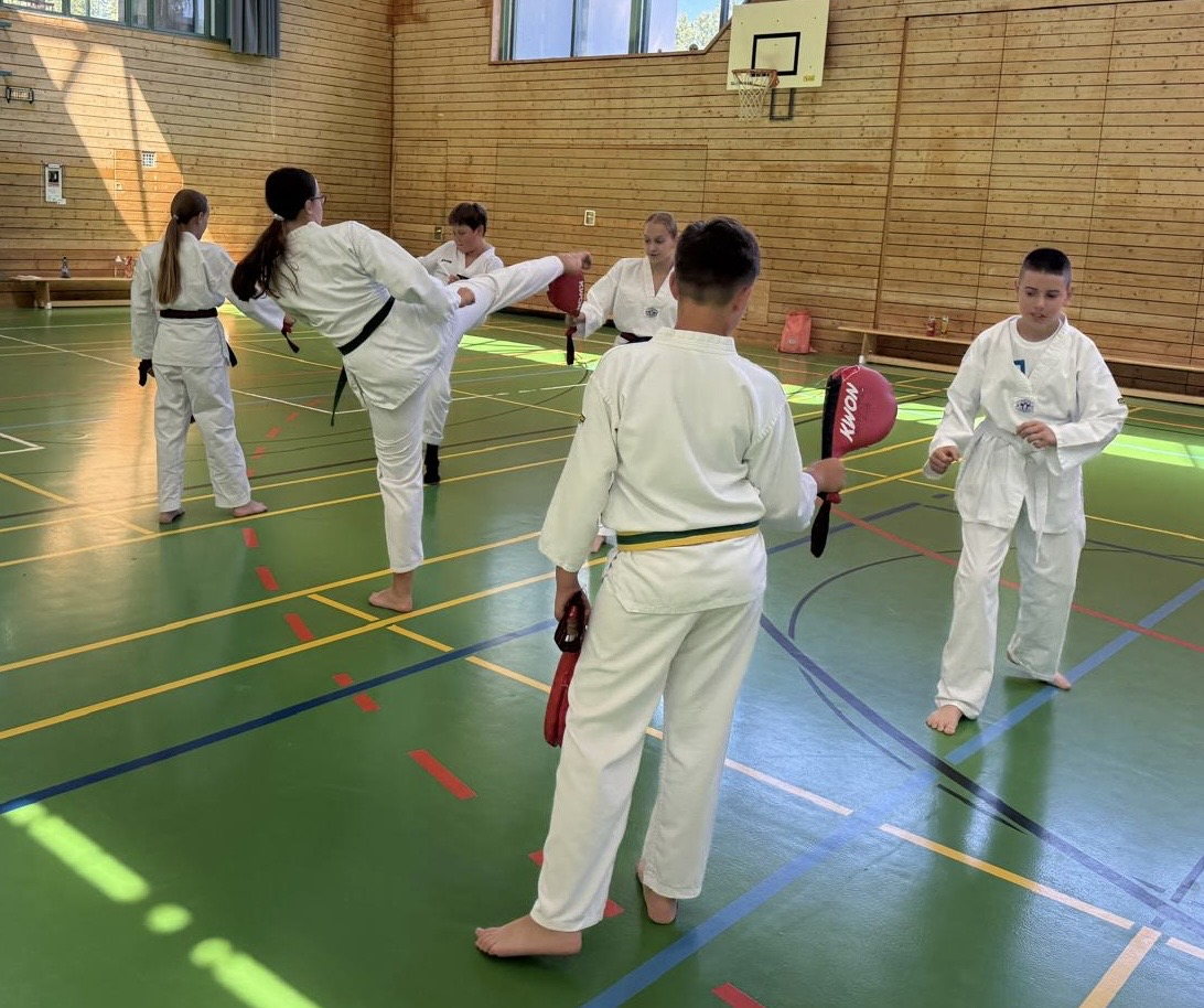 Taekwondo-Training mit Partnerübungen und Schlagpolstern